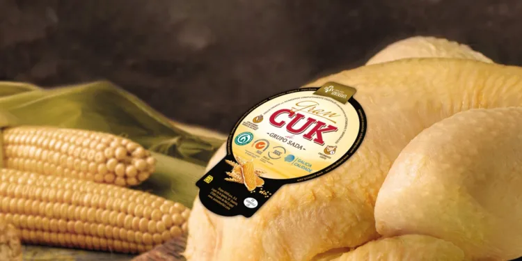 Gran CUK, el pollo de crecimiento lento protagonista en el 63 Concurso Internacional de Paella Valenciana de Sueca