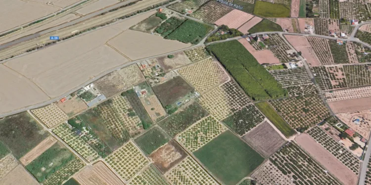 Un incendio en un palmeral de Sueca corta la Autovía A38 e interrumpe el servicio de cercanías