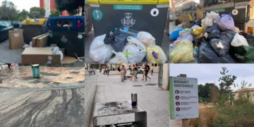 El PSPV acusa a Catalá de tener los barrios muy sucios y los jardines abandonados