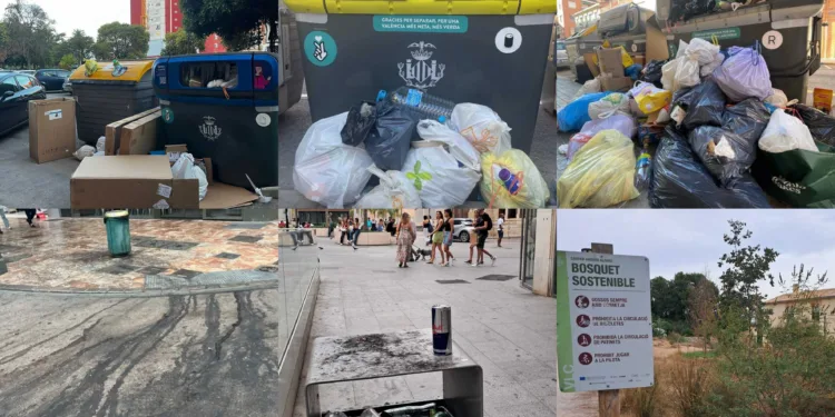 El PSPV acusa a Catalá de tener los barrios muy sucios y los jardines abandonados 1 El PSPV acusa a Catalá de tener los barrios muy sucios y los jardines abandonados