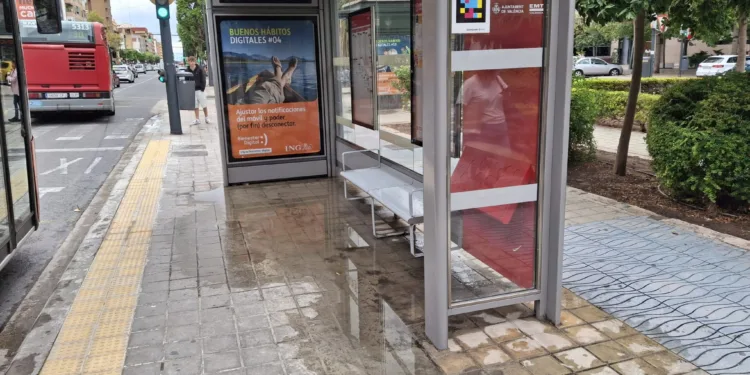 Las paradas de la EMT siguen inundándose de agua señora alcaldesa, arregle el asunto 1 EMT paradas