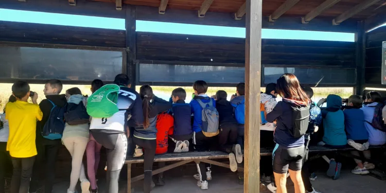 El Tancat de la Pipa se consolida como un referente en educación ambiental para los centros de educación reglada 1 El Tancat de la Pipa se consolida como un referente en educación ambiental para los centros de educación reglada