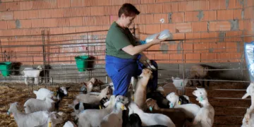 FADEMUR y Bodega Bardos impulsan el emprendimiento femenino en el medio rural con el Proyecto Bardos