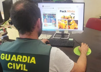 La Guardia Civil investiga a un administrador por seis delitos de estafa en la compra fraudulenta de naranjas 1 La Guardia Civil investiga a un administrador por seis delitos de estafa en la compra fraudulenta de naranjas