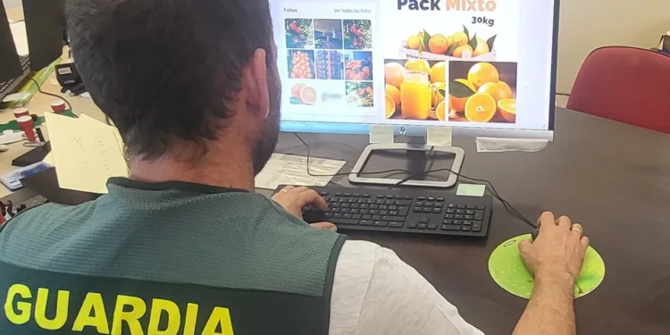La Guardia Civil investiga a un administrador por seis delitos de estafa en la compra fraudulenta de naranjas