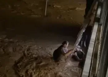 Inundaciones en Valencia: decenas de personas atrapadas en el agua al intentar salir del Ikea durante el temporal 5 Inundaciones en Valencia: decenas de personas atrapadas en el agua al intentar salir del Ikea durante el temporal