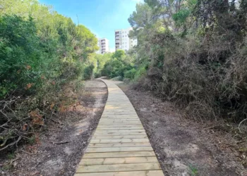 La concejalía de Devesa-Albufera prosigue ejecutando obras de mejora demandadas por los vecinos 5 La concejalía de Devesa-Albufera prosigue ejecutando obras de mejora demandadas por los vecinos