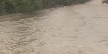 Lluvias torrenciales en el norte de Castellón: más de 200 litros por metro cuadrado en Tírig y La Salzadellav
