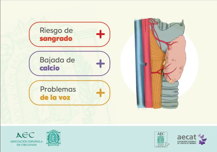 «Humanizando la cirugía de tiroides” un proyecto para mejorar la experiencia del paciente que se opera de tiroides