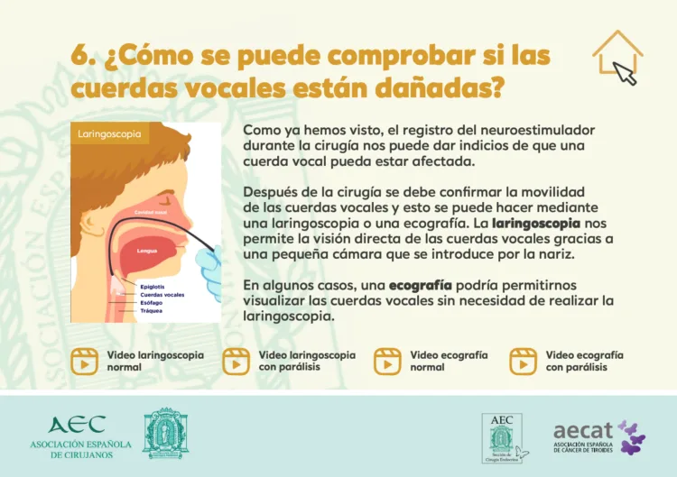 «Humanizando la cirugía de tiroides” un proyecto para mejorar la experiencia del paciente que se opera de tiroides