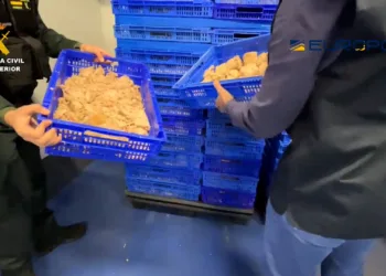 Hasta 50 personas detenidas e investigadas en una macroperación internacional contra el fraude alimentario