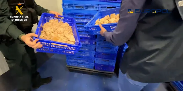 Hasta 50 personas detenidas e investigadas en una macroperación internacional contra el fraude alimentario 1 Hasta 50 personas detenidas e investigadas en una macroperación internacional contra el fraude alimentario