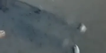 Vídeo: La DANA deja víctimas mortales en la Comunidad Valenciana