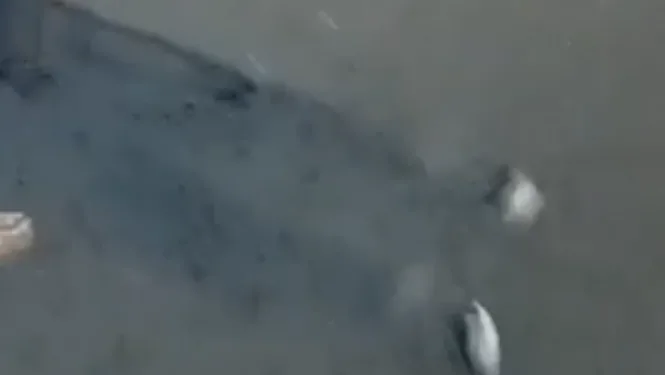 Vídeo: La DANA deja víctimas mortales en la Comunidad Valenciana 1 Vídeo: La DANA deja víctimas mortales en la Comunidad Valenciana