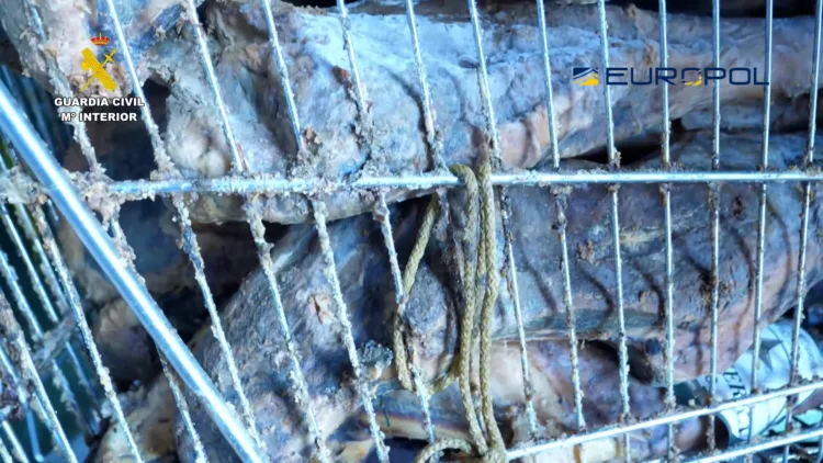 Hasta 50 personas detenidas e investigadas en una macroperación internacional contra el fraude alimentario