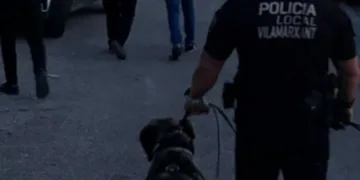 Reincidente detenido por más de treinta robos en Ribarroja y Villamarchante