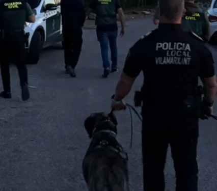 Reincidente detenido por más de treinta robos en Ribarroja y Villamarchante 1 Reincidente detenido por más de treinta robos en Ribarroja y Villamarchante