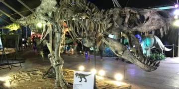 La mayor exposición de dinosaurios animatrónicos regresa a Valencia con más de 120 piezas