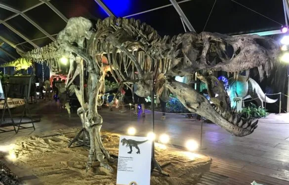 La mayor exposición de dinosaurios animatrónicos regresa a Valencia con más de 120 piezas