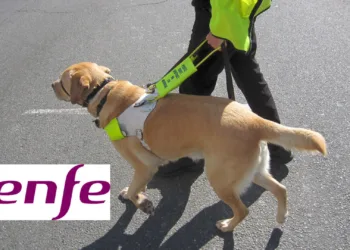 Renfe admitirá más tipos de perros de asistencia de personas con discapacidad en sus trenes