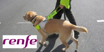 Renfe admitirá más tipos de perros de asistencia de personas con discapacidad en sus trenes