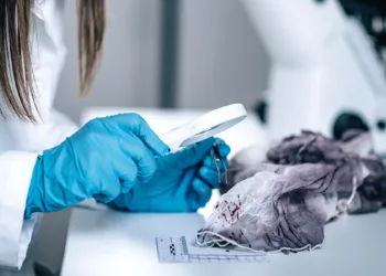 Justicia despliega un equipo forense en Valencia para colaborar en la identificación de víctimas de la DANA 5 Justicia despliega un equipo forense en Valencia para colaborar en la identificación de víctimas de la DANA