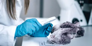 Justicia despliega un equipo forense en Valencia para colaborar en la identificación de víctimas de la DANA