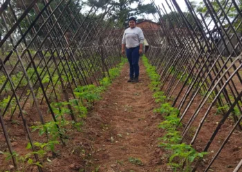 Manos Unidas recuerda que “Comer no es un privilegio, es un derecho universal”