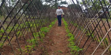 Manos Unidas recuerda que “Comer no es un privilegio, es un derecho universal”