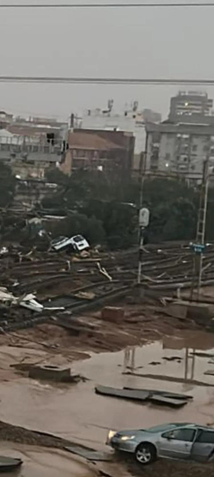 Infraestructuras básicas afectadas: Puentes y viaductos destrozados. Vias de tren arrasadas