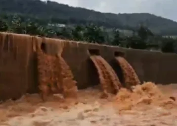Chodos supera los 133 litros de precipitaciones recogidos esta mañana