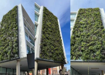 211.000€ para regenerar los tres jardines verticales del Ciclo Integral del Agua en Valencia en su edificio del Canyamelar