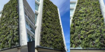 211.000€ para regenerar los tres jardines verticales del Ciclo Integral del Agua en Valencia en su edificio del Canyamelar