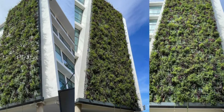 211.000€ para regenerar los tres jardines verticales del Ciclo Integral del Agua en Valencia en su edificio del Canyamelar 1 211.000€ para regenerar los tres jardines verticales del Ciclo Integral del Agua en Valencia en su edificio del Canyamelar