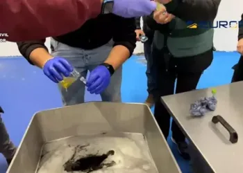 Fraude Alimentario: Detenidas 32 Personas en una Red Internacional por Falsificación de Productos y Estafa