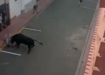 Video: Muere un hombre de 57 años tras una cogida en los toros de la Vall d'Uixó 2 Video: Muere un hombre de 57 años tras una cogida en los toros de la Vall d’Uixó