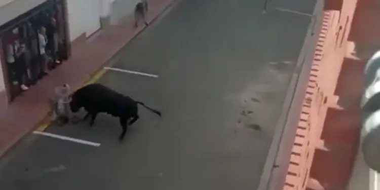 Video: Muere un hombre de 57 años tras una cogida en los toros de la Vall d'Uixó 1 Video: Muere un hombre de 57 años tras una cogida en los toros de la Vall d’Uixó