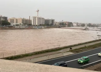 Dejemos el nuevo cauce del rio Turia como está y de renaturalizar