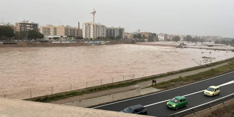 Dejemos el nuevo cauce del rio Turia como está y de renaturalizar