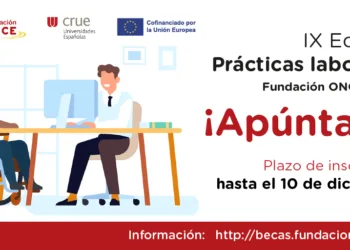 Las universidades españolas ofrecen 297 becas de prácticas laborales para personas con discapacidad