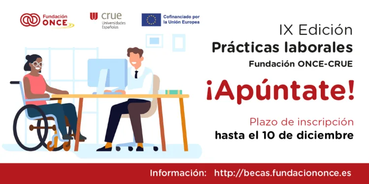 Las universidades españolas ofrecen 297 becas de prácticas laborales para personas con discapacidad 1 Las universidades españolas ofrecen 297 becas de prácticas laborales para personas con discapacidad