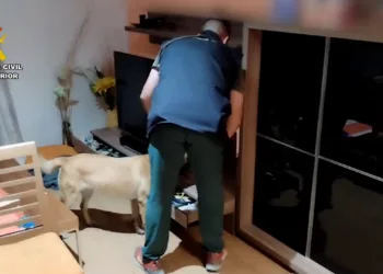 Desmantelada una banda que robaba en viviendas de lujo en la Marina Alta: 7 detenidos y cientos de objetos recuperados 3 Desmantelada una banda que robaba en viviendas de lujo en la Marina Alta: 7 detenidos y cientos de objetos recuperados