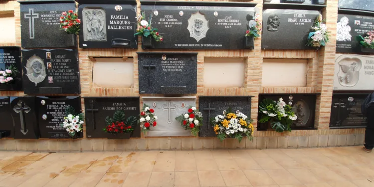 Operativo especial del Día de Todos los Santos 2024 en Valencia: Información clave sobre accesibilidad, transporte y normativa 1 Operativo especial del Día de Todos los Santos 2024 en Valencia: Información clave sobre accesibilidad, transporte y normativa