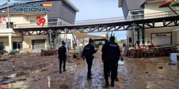 La Policía Nacional detiene a 9 varones por robar en diversos locales comerciales afectados por la DANA