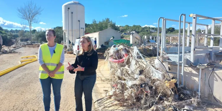 La Diputació de Valéncia empieza en Godelleta la reparación de las 75 depuradoras dañadas por la DANA