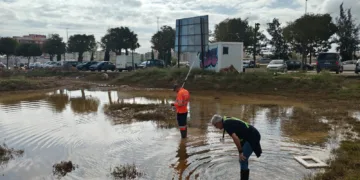 El Ayuntamiento de Valencia pone en marcha un plan intensivo de control de plagas en las pedanías afectadas por la DANA