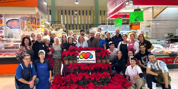Mercavalencia reparte más de 400 plantas de Navidad en los mercados municipales para apoyar el comercio local 1 Mercavalencia reparte más de 400 plantas de Navidad en los mercados municipales para apoyar el comercio local
