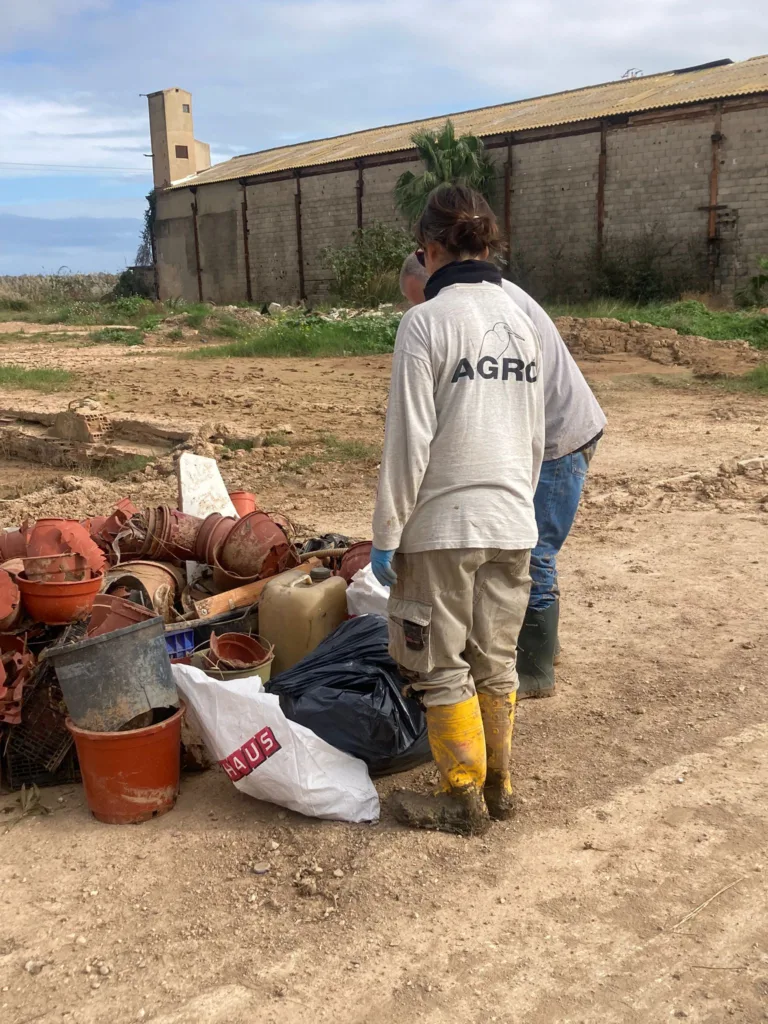 Acció Ecologista-Agró lidera la limpieza de residuos en el Parque Natural de la Albufera tras la DANA 5 150C7183 97BF 41A7 A8A6 19B44442A1E1