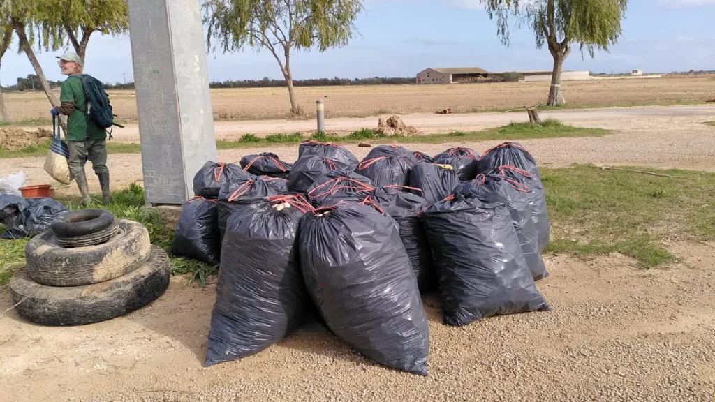 Acció Ecologista-Agró lidera la limpieza de residuos en el Parque Natural de la Albufera tras la DANA 2 59431336 A96D 48AA ADAE A66BD6B376D5