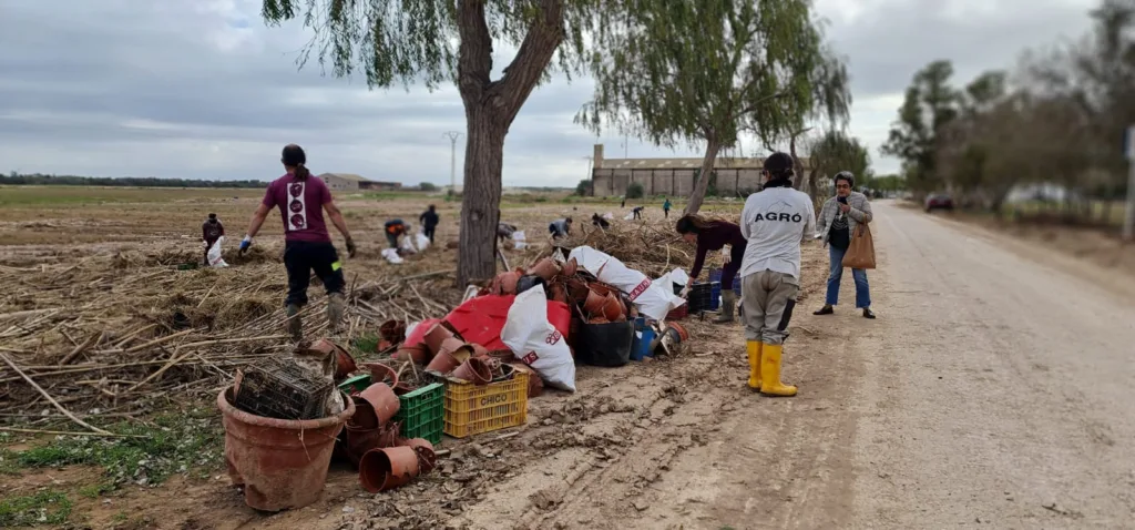 Acció Ecologista-Agró lidera la limpieza de residuos en el Parque Natural de la Albufera tras la DANA 4 ADE01D30 F004 441A AEA3 C72DB5C6715A